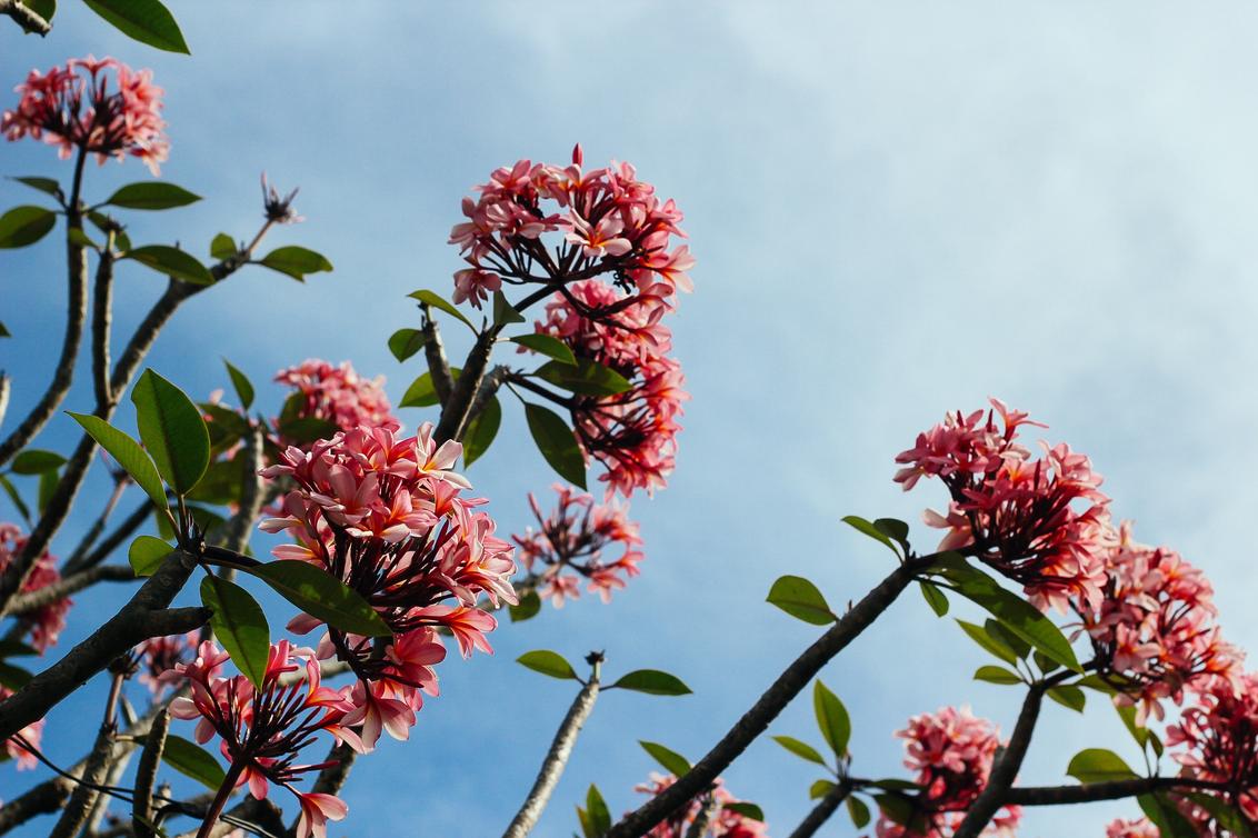 Consequatur ipsum vitae itaque corporis
