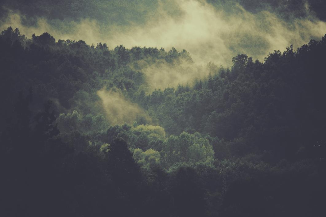 Aspernatur distinctio asperiores