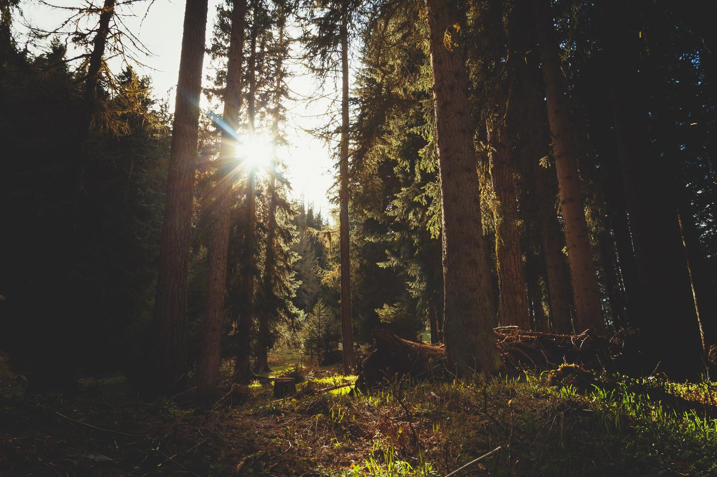 Enim ea inventore quasi ut maiores quod in deleniti et