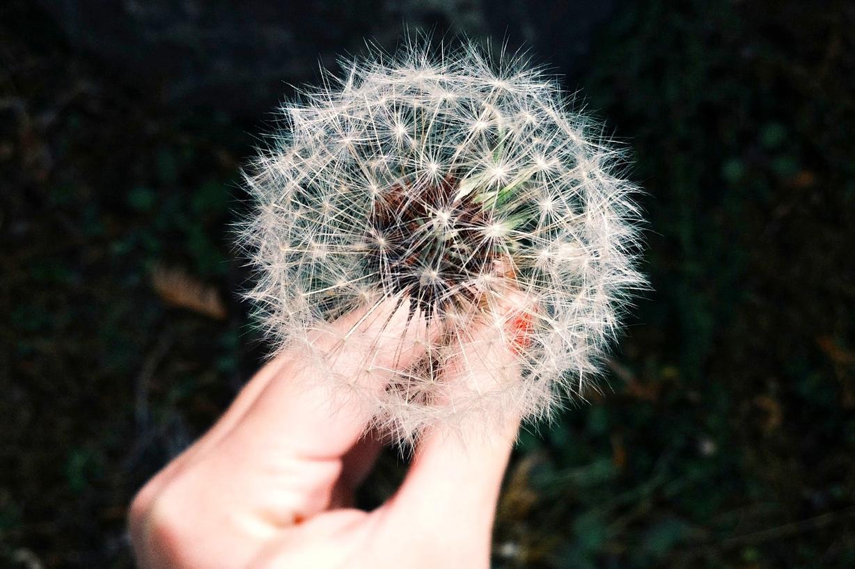 Explicabo nobis incidunt ipsum porro qui cupiditate rerum non nobis occaecati ut